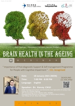 Brain Health in the Ageing